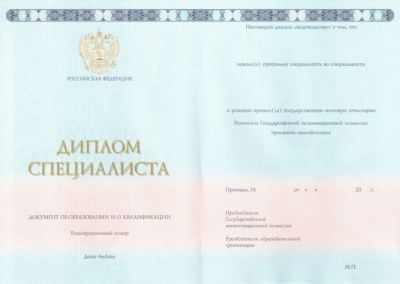 Диплом Института 2014-2024 Гознак